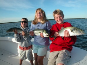 Bluefish Cape Cod fishing charters with Captain Eric Stapelfeld of hairball charters