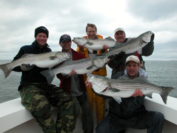Hairball charters trophy striped bass fishing in September