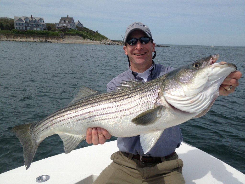 Falmouth sport fishing two boats offering a great time catching striped